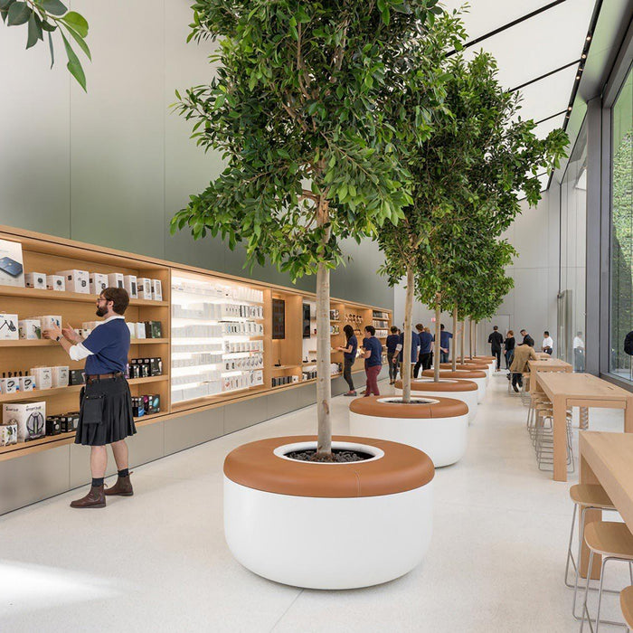 Apple opens green-filled san francisco union square store by foster + partners - M2 Retail