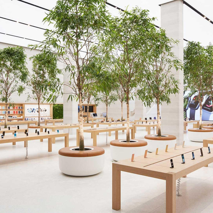 Apple unveils tree-filled Regent Street store by Foster + Partners - M2 Retail