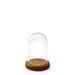 FANXI Glass Earring Display Holder Transparent Jewelry Display Stand Jewelry Display Bottle for Jewelry Shop - M2 Retail