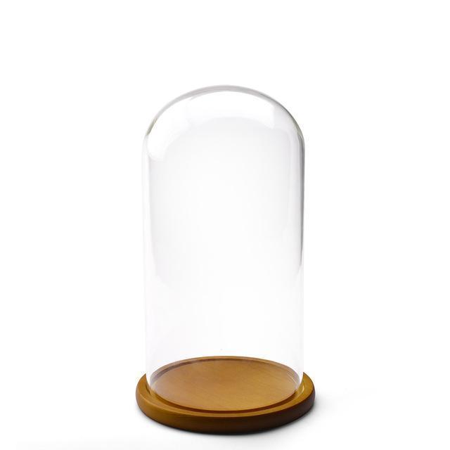 FANXI Glass Earring Display Holder Transparent Jewelry Display Stand Jewelry Display Bottle for Jewelry Shop - M2 Retail